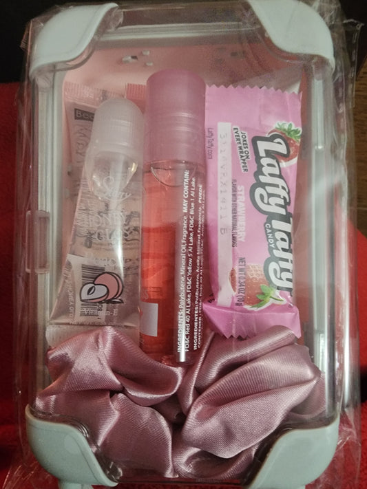 Duchess Beauty Collection Suitcase Lipgloss Bundle